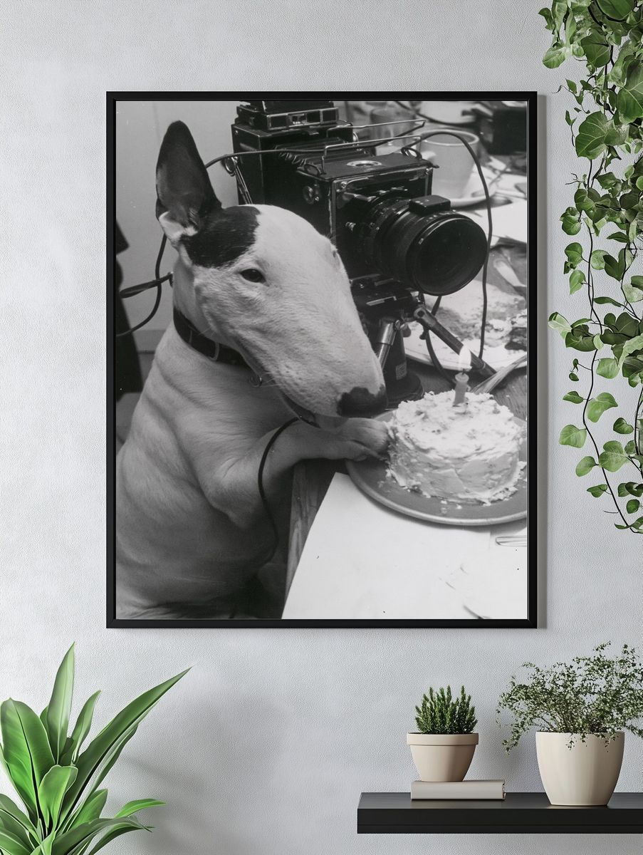 Bull Terrier Birthday Camera Poster. — room view 4