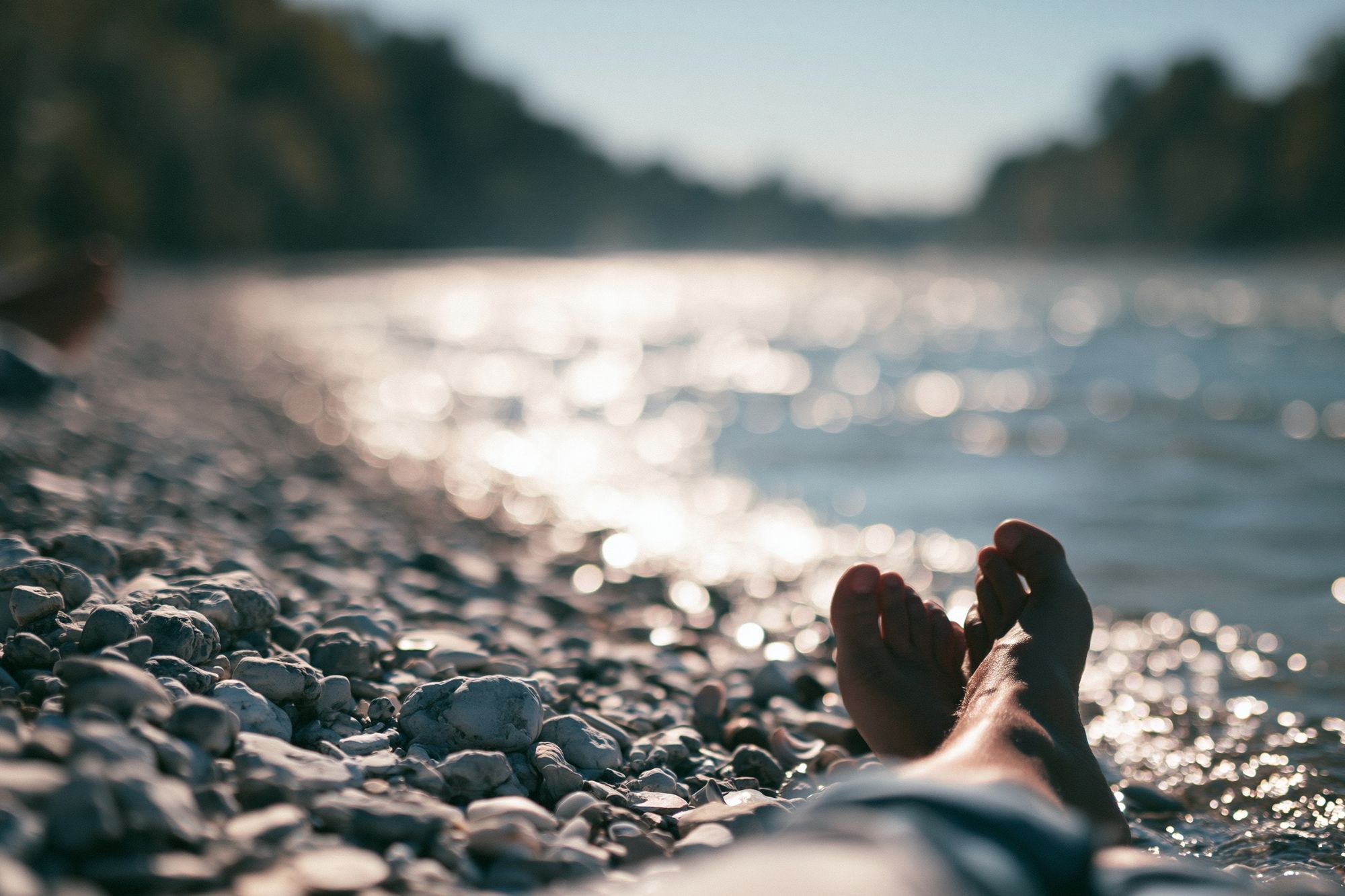 Lake Shore Relaxation Photography Poster. poster detail