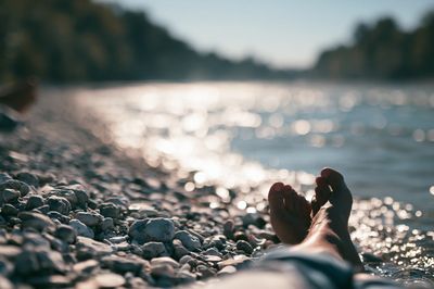 Lake Shore Relaxation Photography Poster. poster