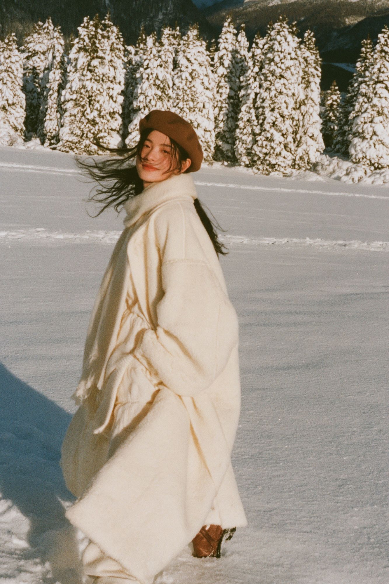Winter Portrait in the Alps Poster. poster — photography art
