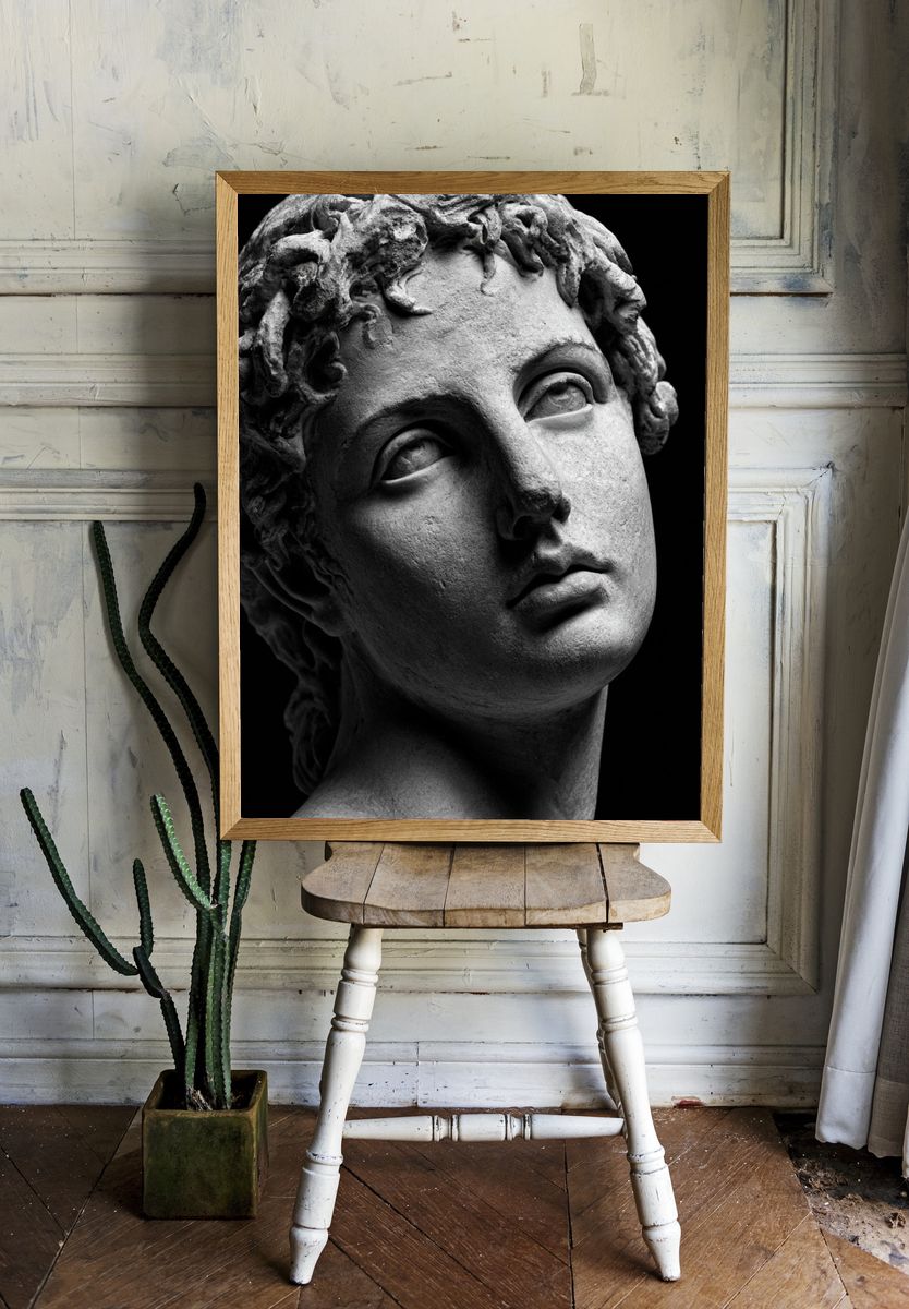 Classical Marble Bust Photography Poster. — room view 1
