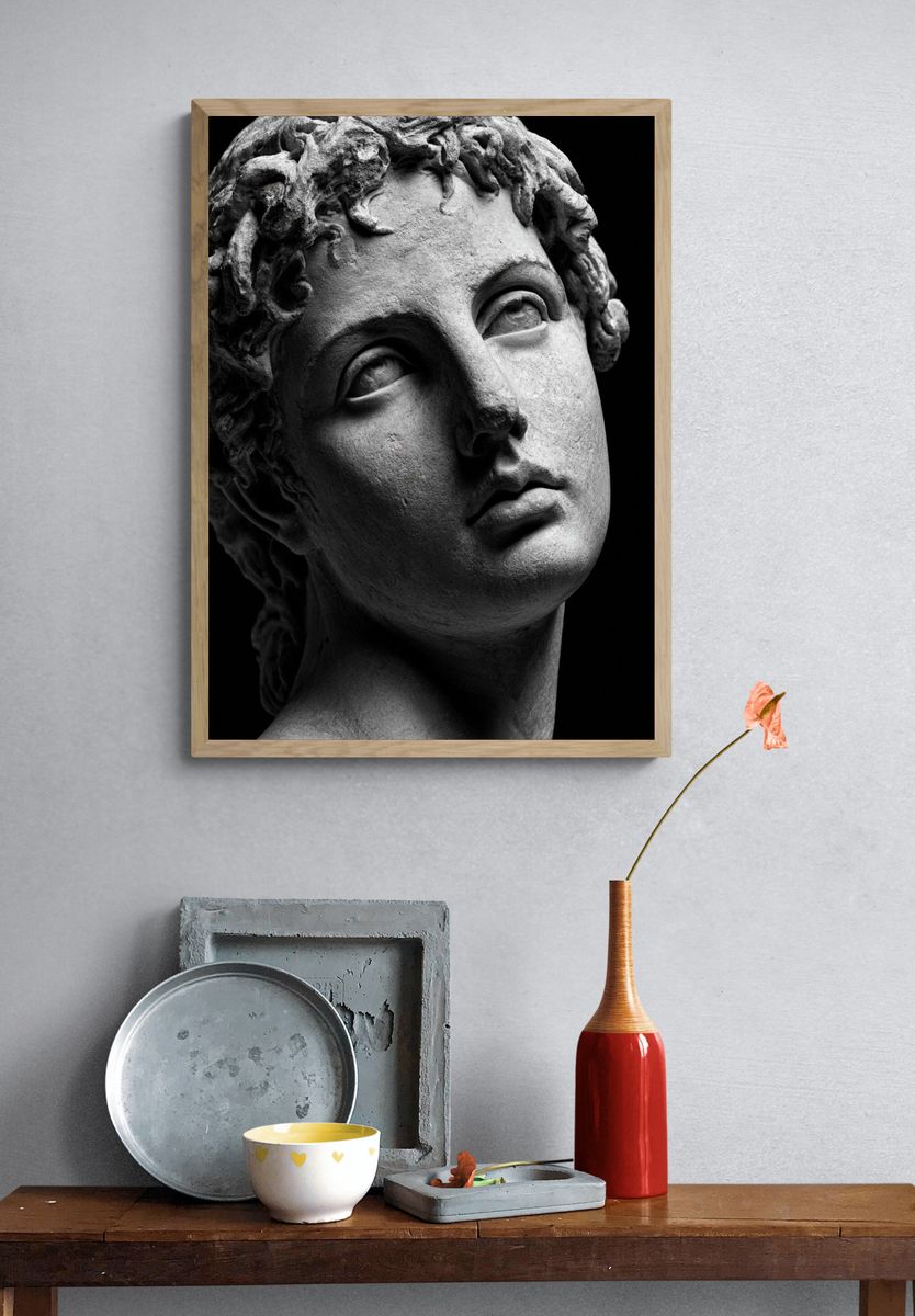 Classical Marble Bust Photography Poster. — room view 3