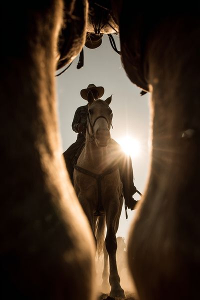 Cowboy on Horseback Photography Poster. poster print