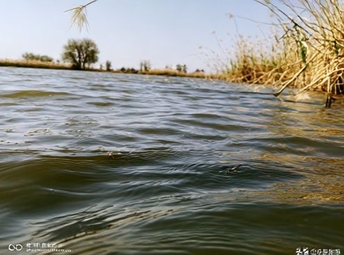 Serene River Waterline Photography Poster. poster detail