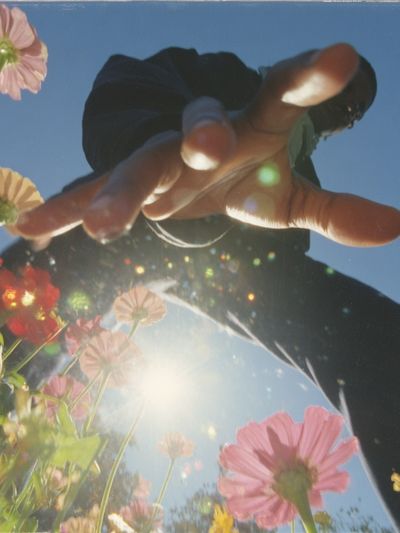 Sunlit Flowers and Hand Photography Poster. poster print