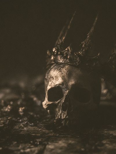 Crowned Skull Dark Photography Poster. poster