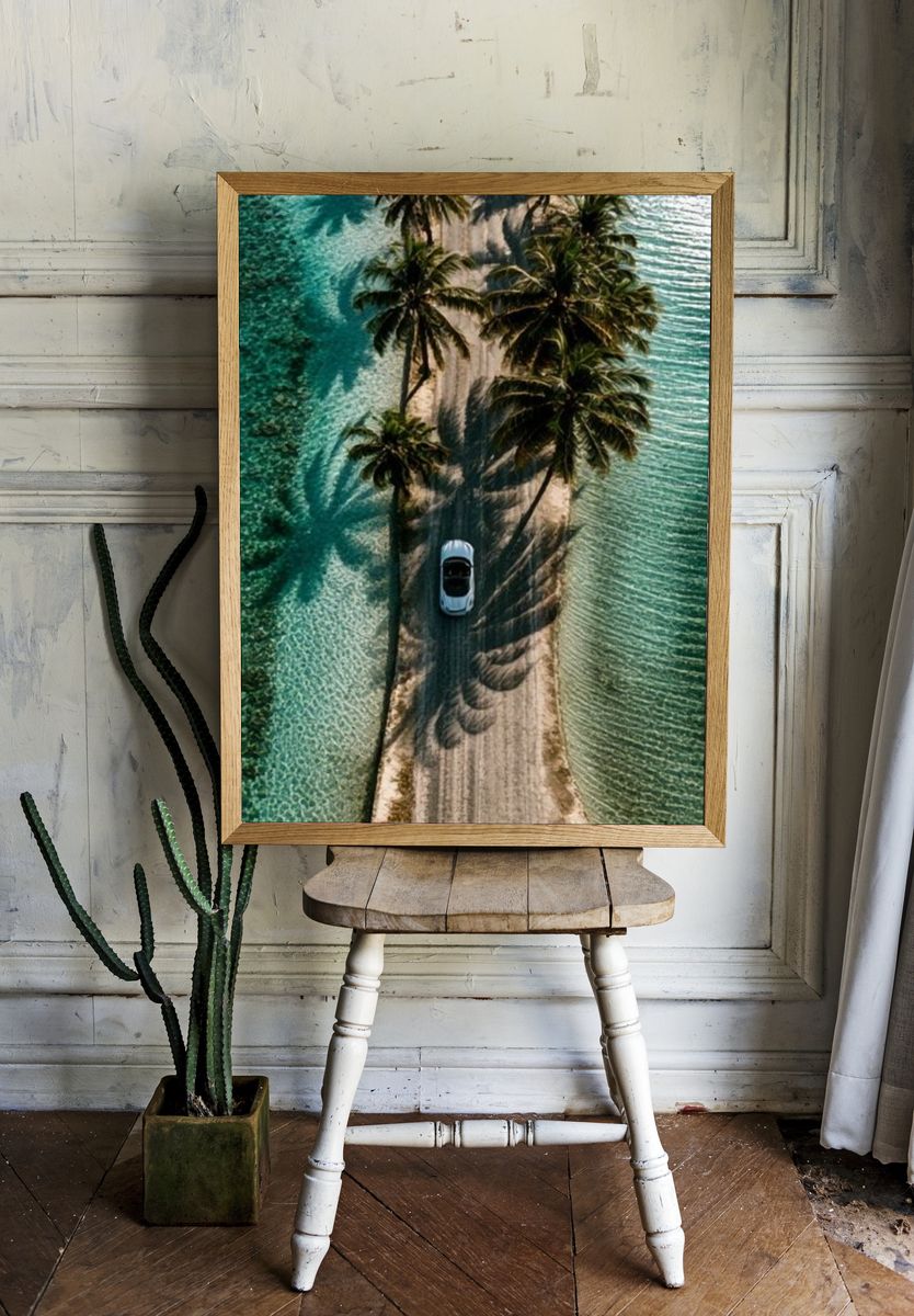 Palm Island Aerial Photography Poster. — room view 1