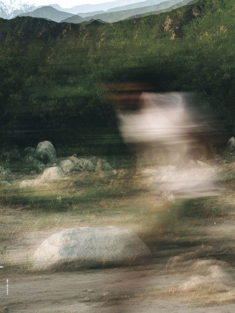 Blurred Forest Motion Photography Poster. poster — photography art