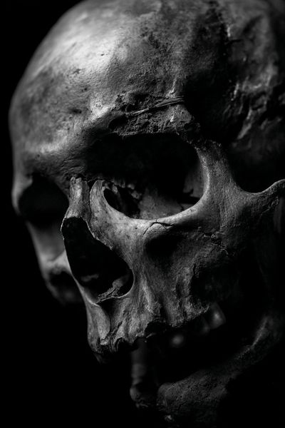 Human Skull Black-White Poster. poster