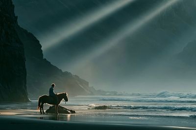 Horse on Misty Beach Photography Poster. poster