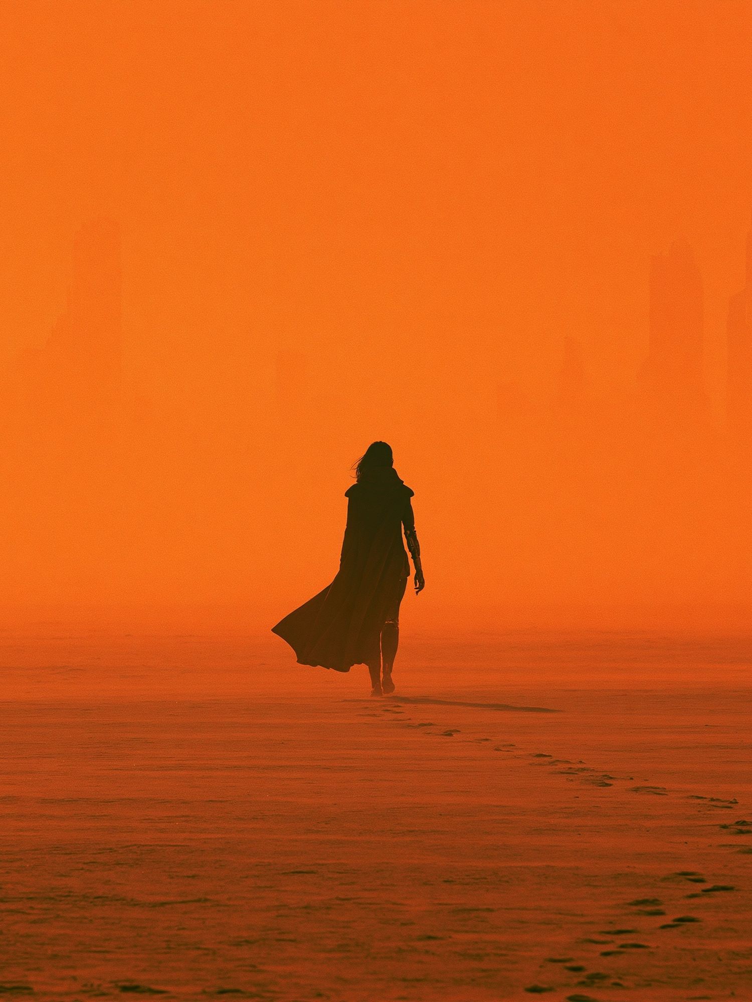 Desert Wanderer Photography Poster. poster detail
