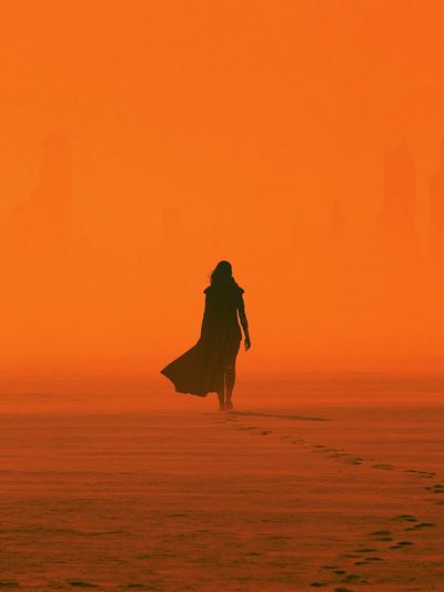 Desert Wanderer Photography Poster.