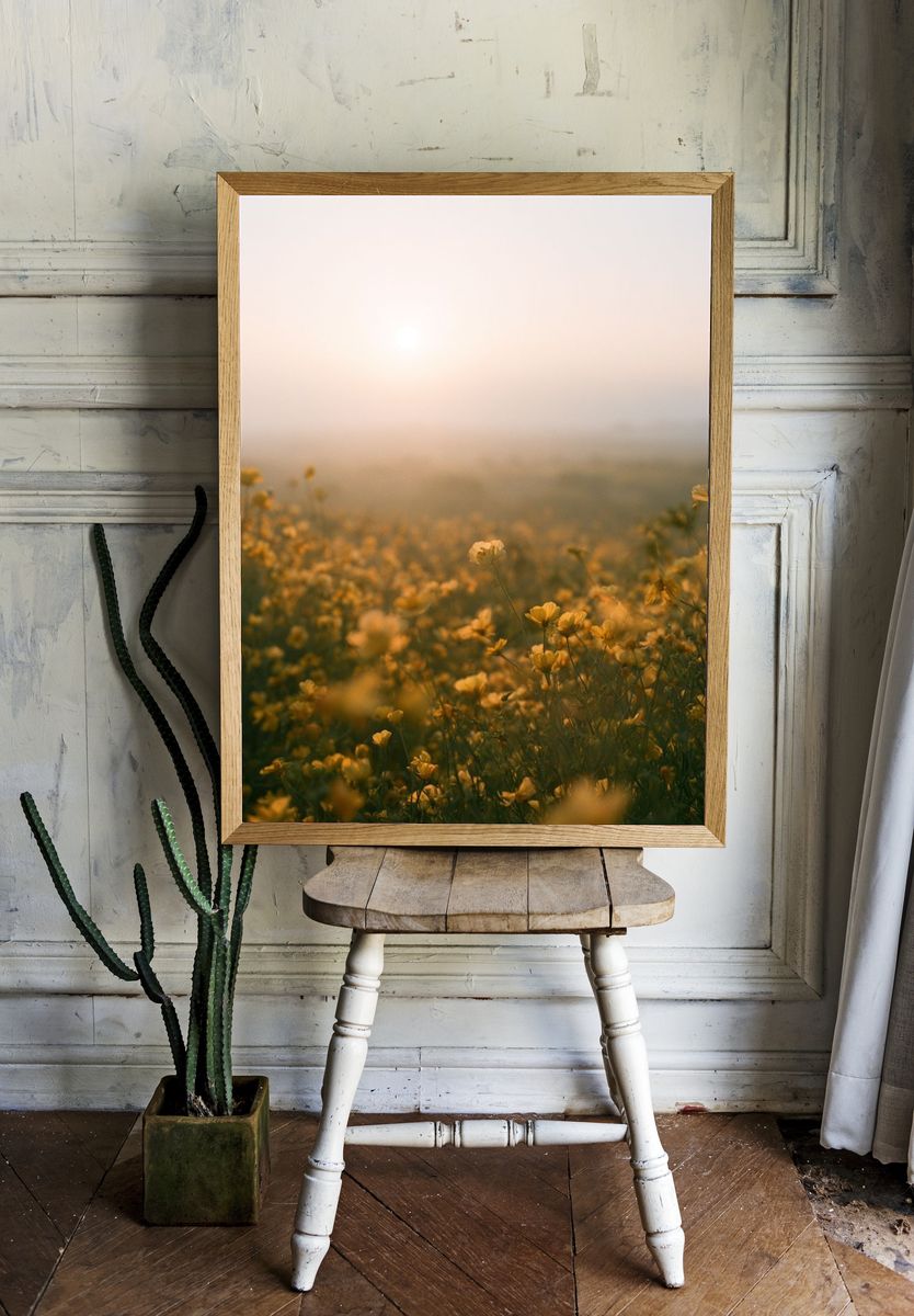 Misty Wildflower Meadow Photography Poster. room preview