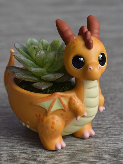 Cute Dragon Succulent Photography Poster. poster