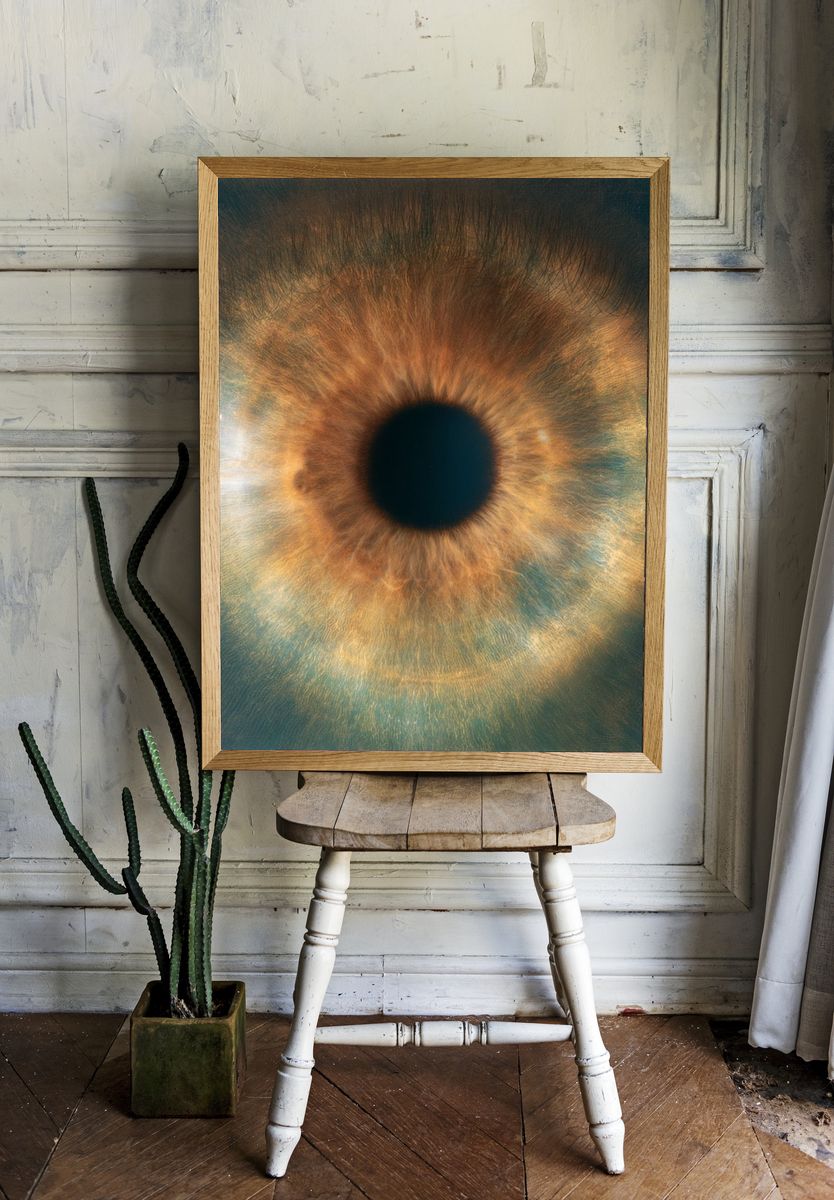 Iris Macro Photography Poster. room preview