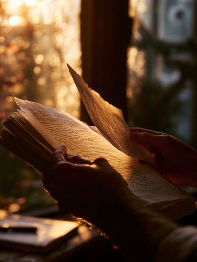 Sunlit Book Reading Photography Poster. poster print