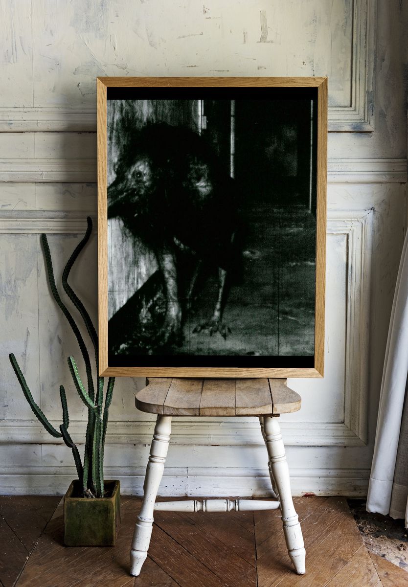 Creepy Bird in Corridor Photography Poster. — room view 1