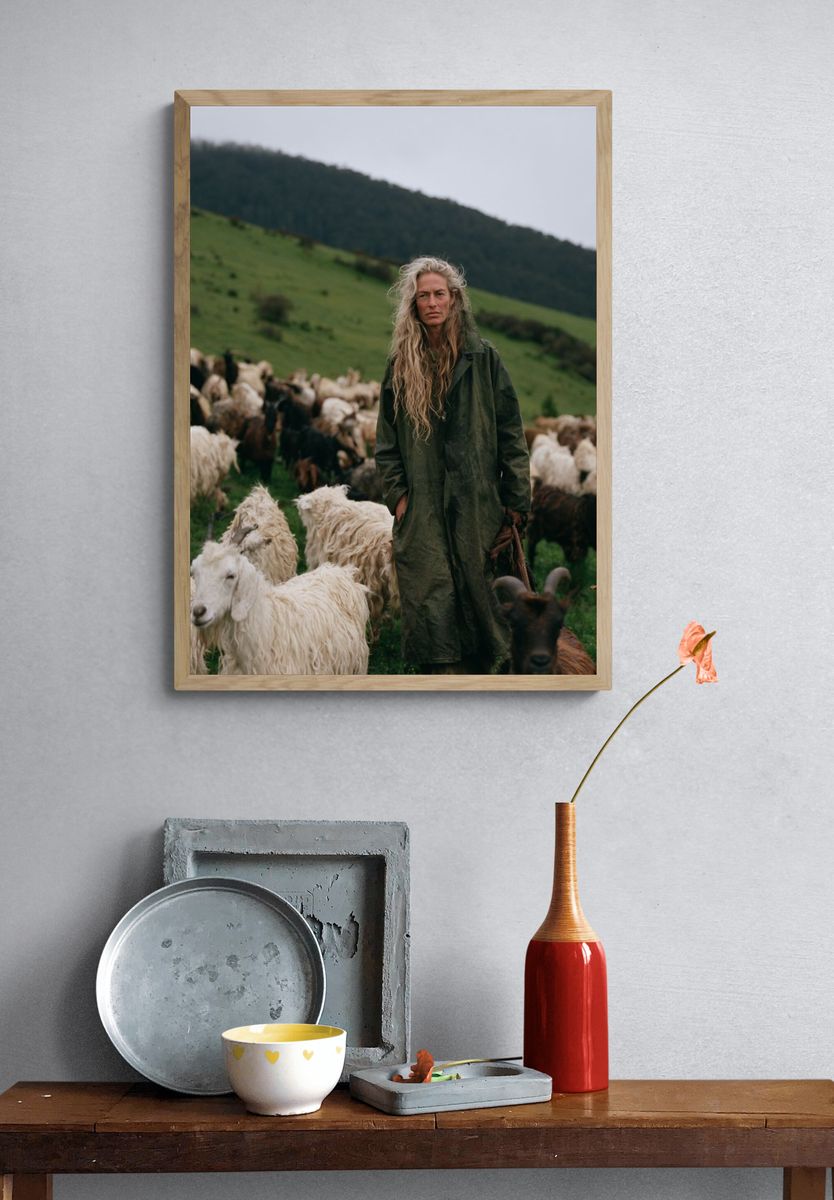 Shepherd in Green Hills Photography Poster. — room view 3