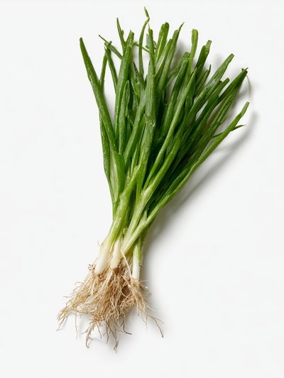 Fresh Green Onion Still Life Poster.