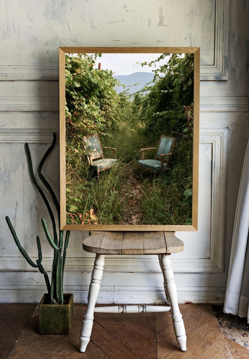 Overgrown Garden Chairs Photography Poster. room preview