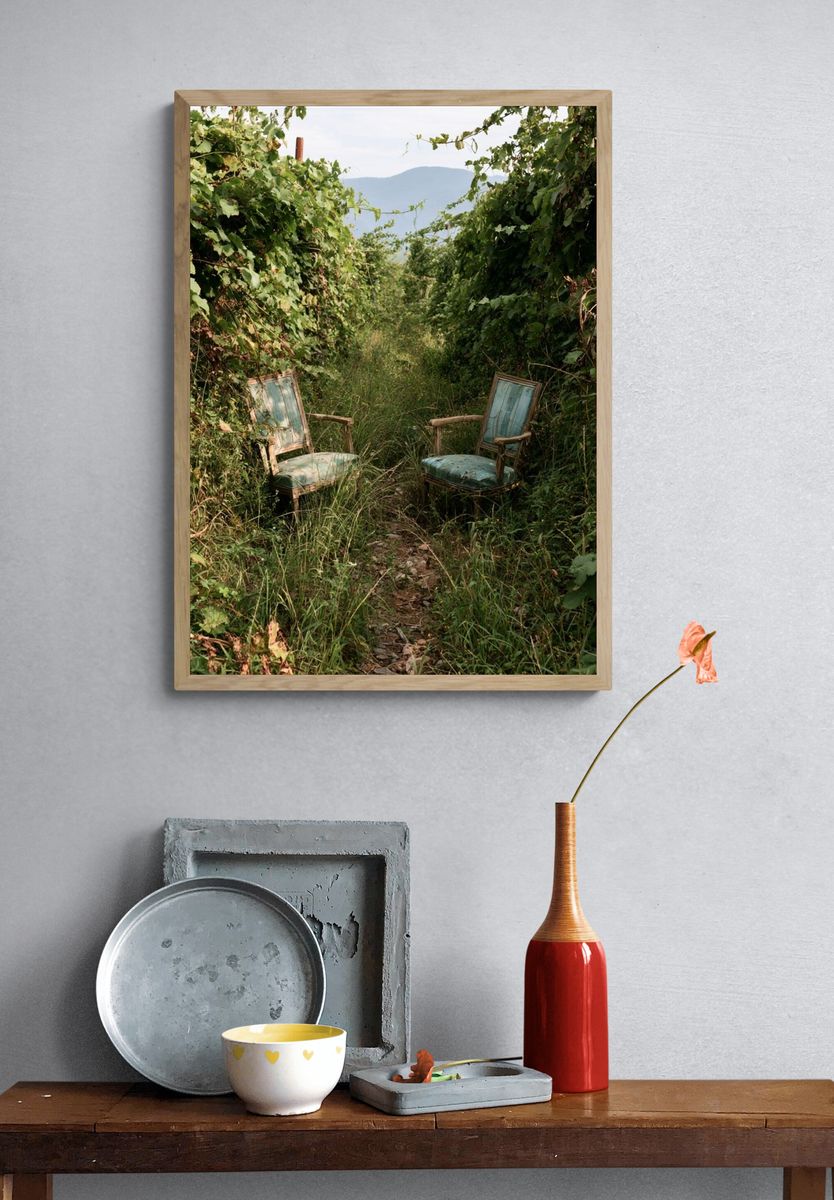 Overgrown Garden Chairs Photography Poster. — room view 3