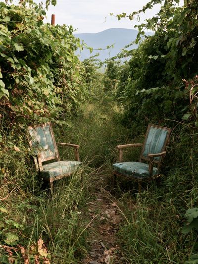 Overgrown Garden Chairs Photography Poster.