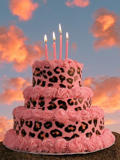 Pink Leopard Cake Photography Poster. poster