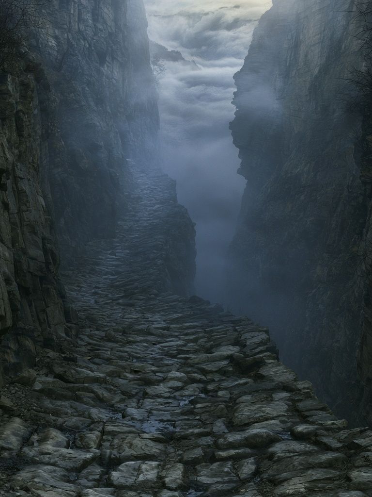 Misty Canyon Path Photography Poster. poster — photography art