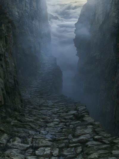 Misty Canyon Path Photography Poster.