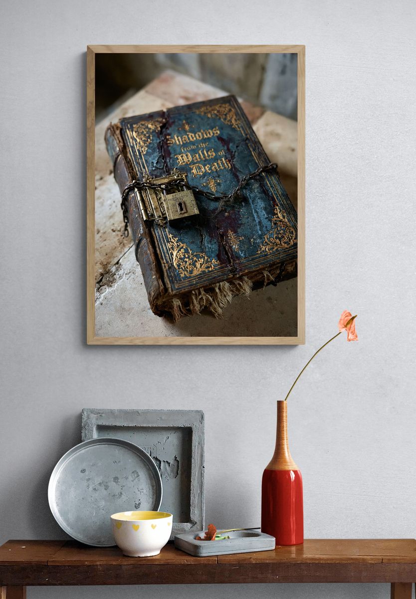 Shadowbound Grimoire Photography Poster. — room view 3