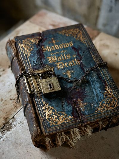Shadowbound Grimoire Photography Poster. poster print