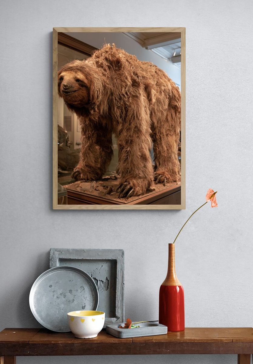 Museum Sloth Exhibit Photography Poster. — room view 3