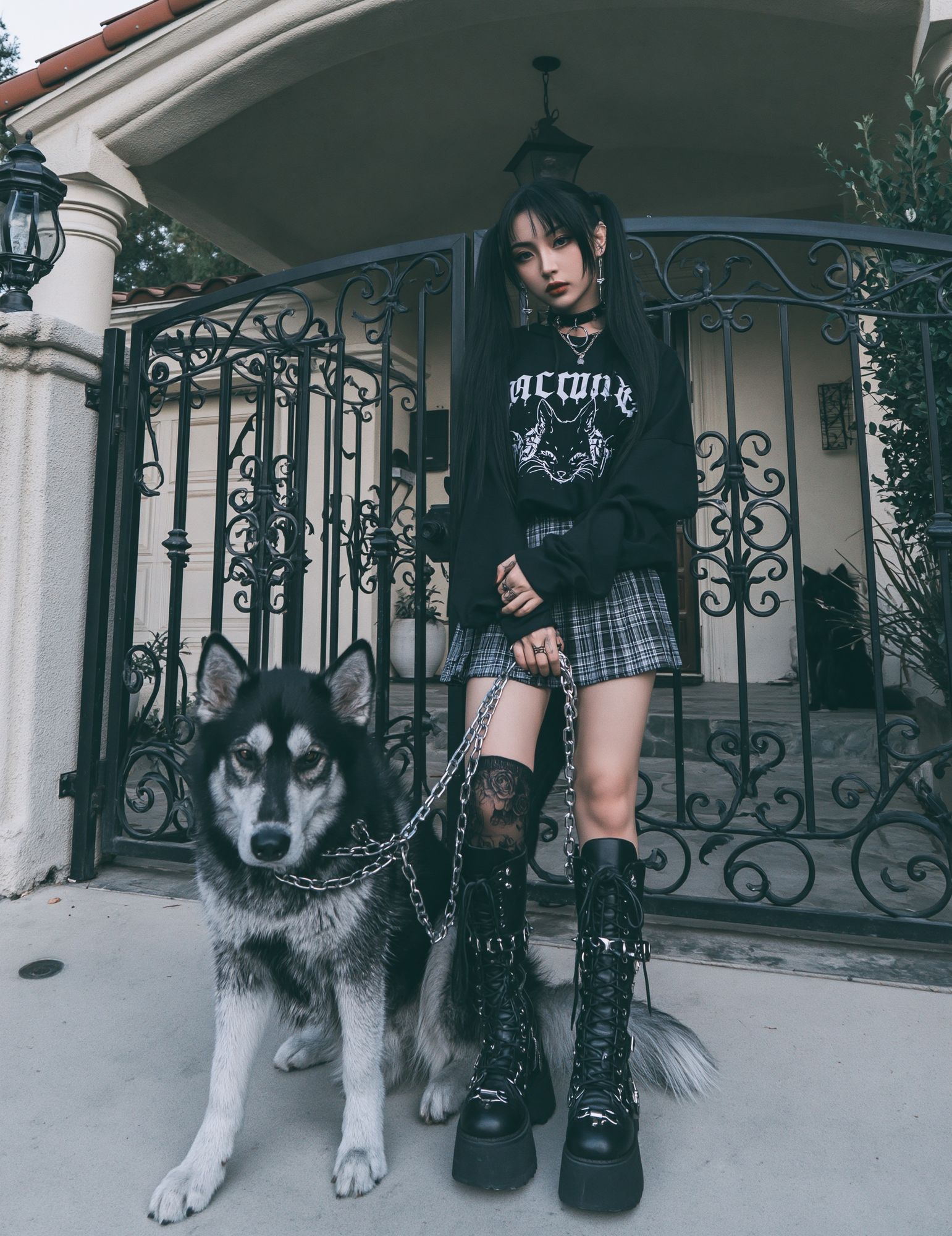 Gothic Girl with Husky Photography Poster. poster — photography art
