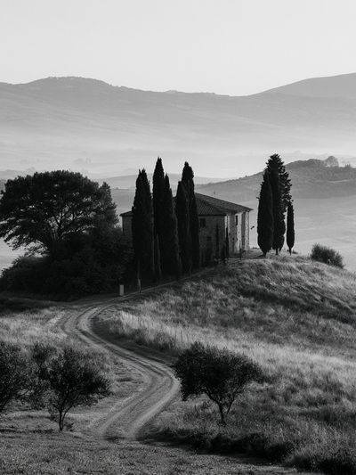 Tuscan Hillside Monochrome Poster. poster