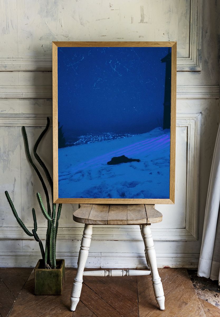 Moonlit Snowfield Photography Poster. room preview