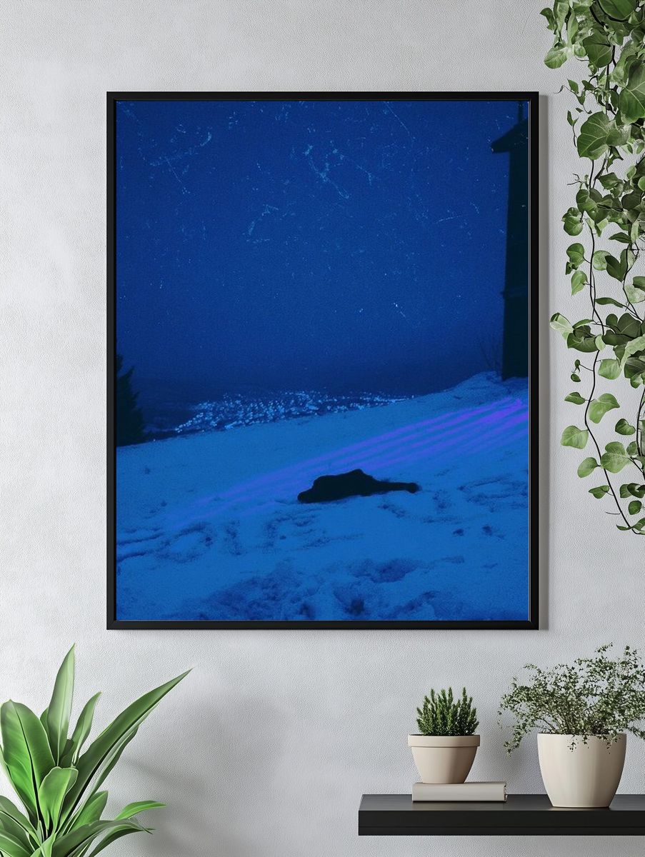 Moonlit Snowfield Photography Poster. — room view 4
