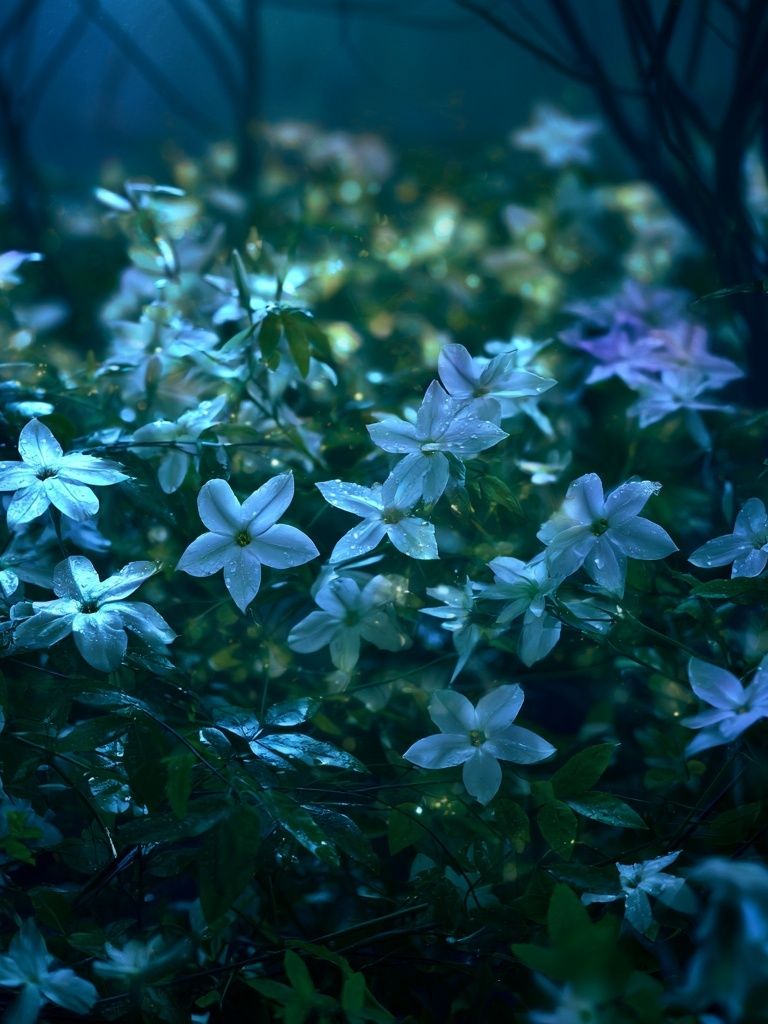 Moonlit Wildflowers Photography Poster. poster detail