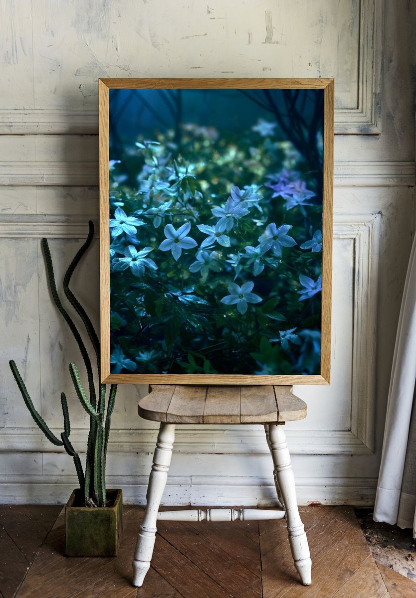 Moonlit Wildflowers Photography Poster. room preview