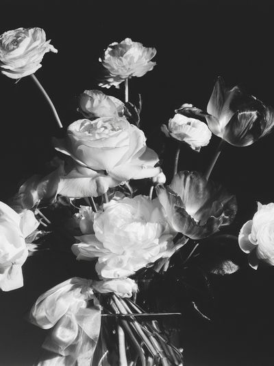 Black and White Floral Photography Poster. poster