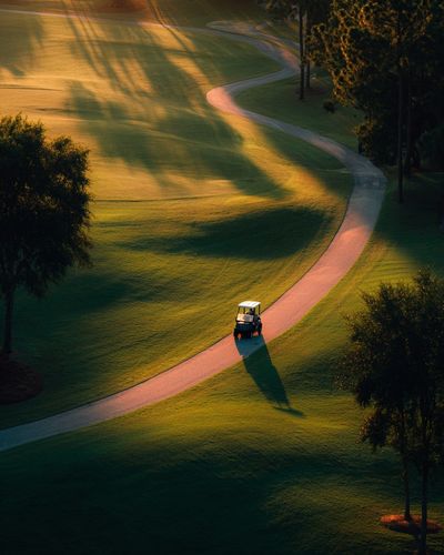 Sunlit Golf Course Landscape Poster. poster print
