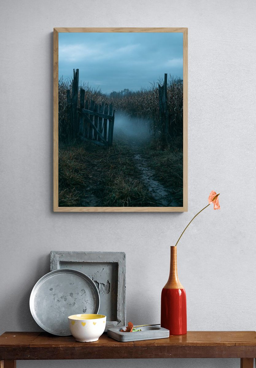 Misty Cornfield Path Photography Poster. — room view 3