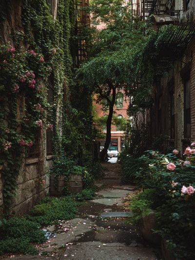 Hidden Garden Alley Photography Poster. poster
