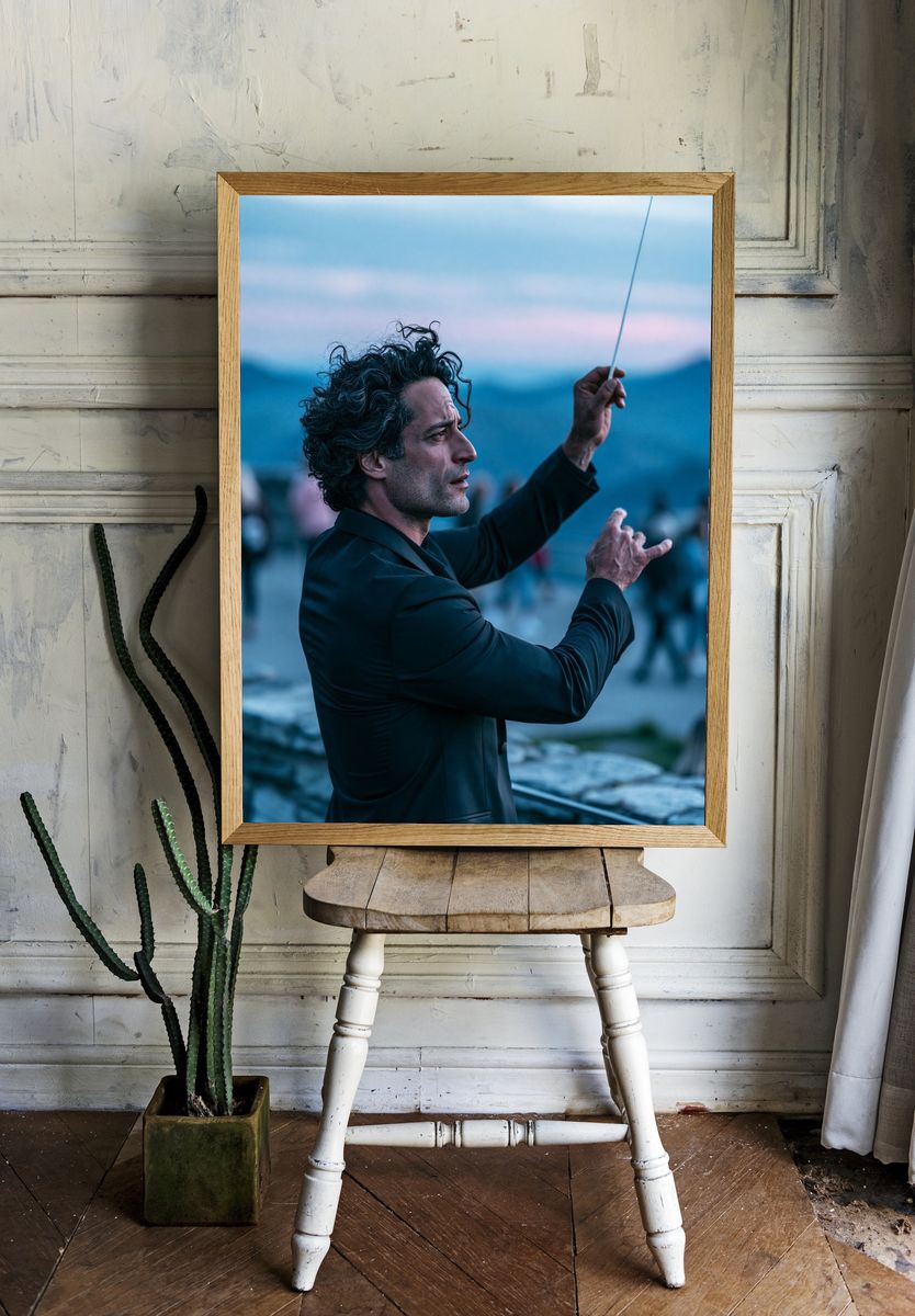 Conductor Portrait Photography Poster. — room view 1