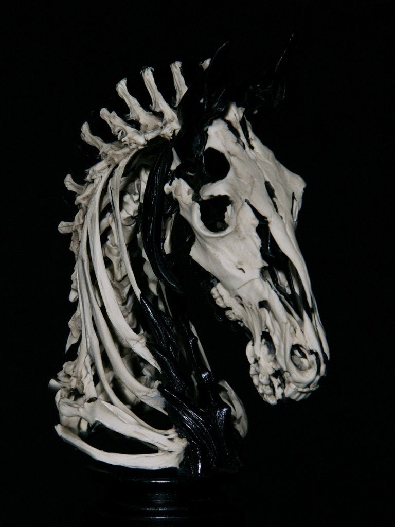 Skeleton Horse Head Photography Poster. poster detail