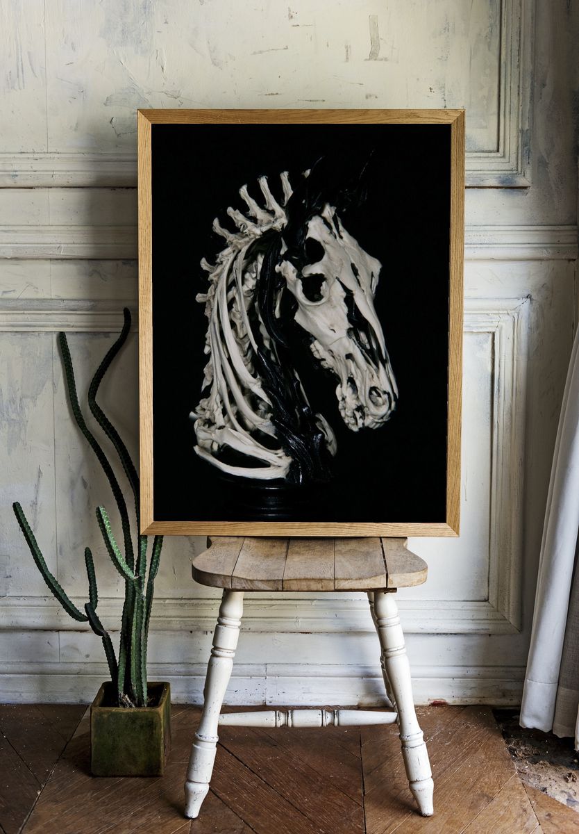 Skeleton Horse Head Photography Poster. room preview