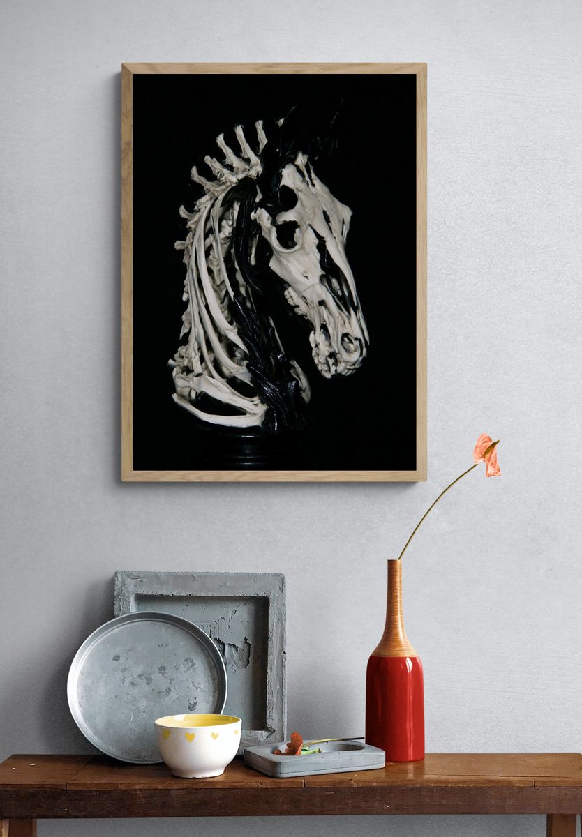 Skeleton Horse Head Photography Poster. — room view 3