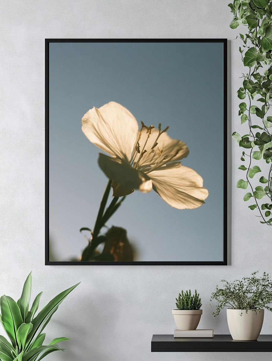 Soft White Blossom Photography Poster. — room view 4