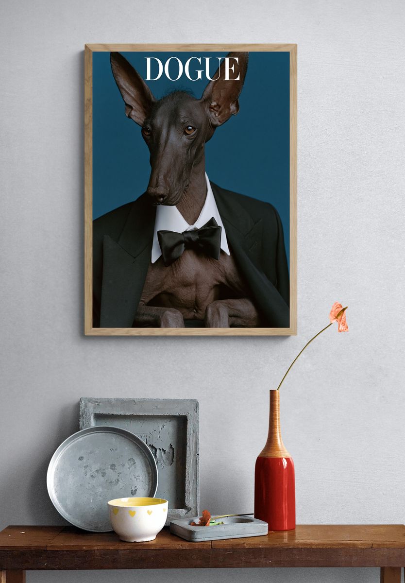 Dogue Sphynx Dog Photography Poster. — room view 3