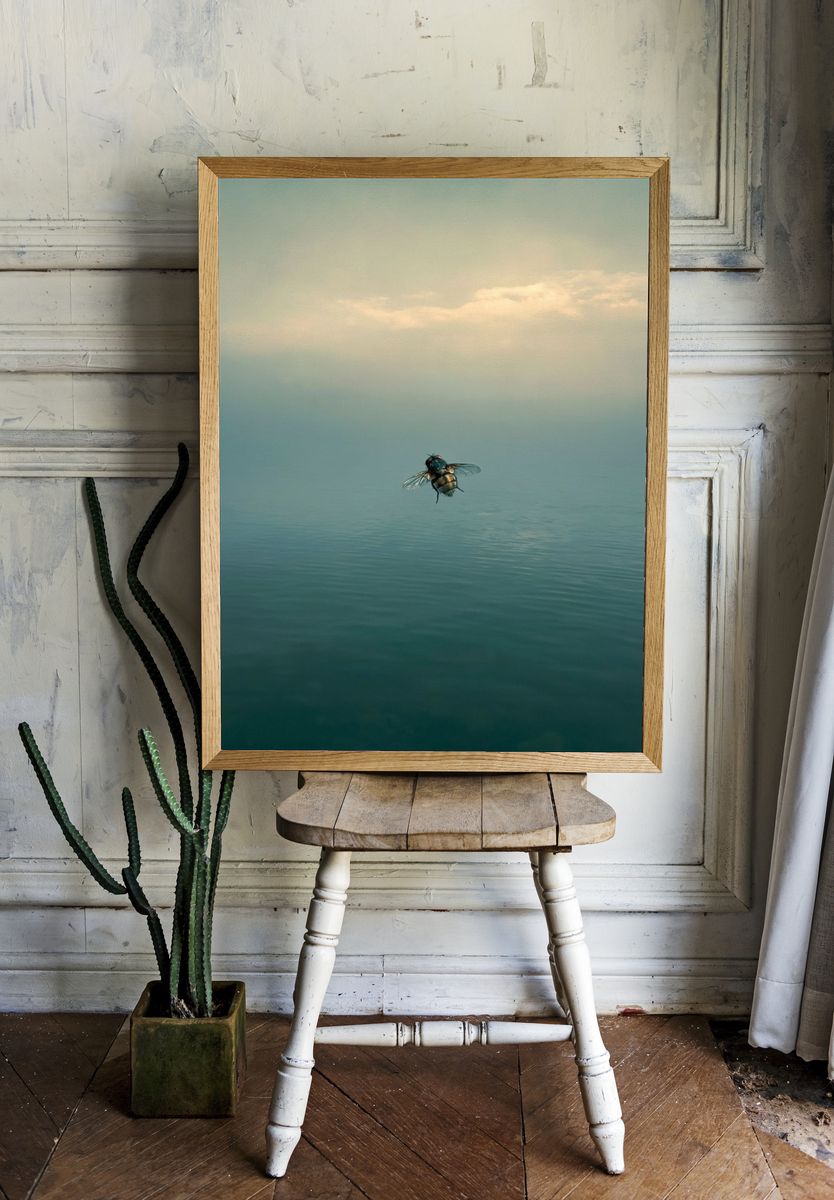 Fly Over Calm Waters Photography Poster. room preview