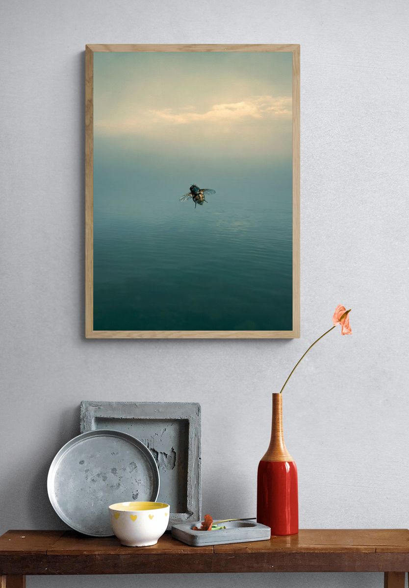 Fly Over Calm Waters Photography Poster. — room view 3